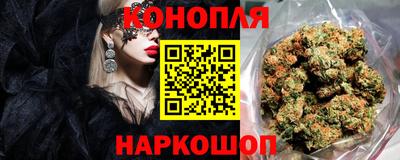 spice Владикавказ