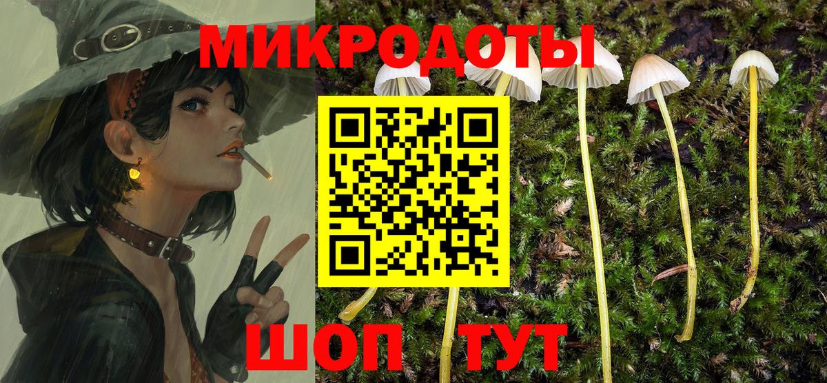 Псилоцибиновые грибы Cubensis Вышний Волочёк