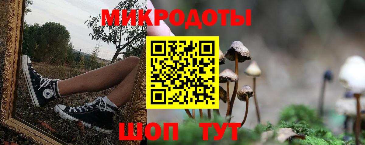 Псилоцибиновые грибы Psilocybe  Вход с VPN  Галлюциногенные грибы мухоморы  Вышний Волочёк 